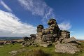 staple tor 4